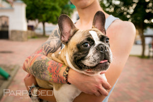 Brown Frenchie Bracelet. Designed and handmade in Israel. PARPADEO. By Martin Greenberg