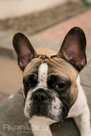 Brown Frenchie Bracelet. Designed and handmade in Israel. PARPADEO. By Martin Greenberg