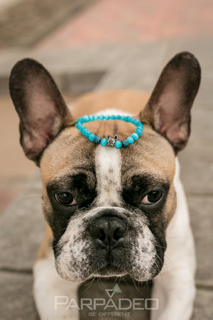 Blue Frenchie Bracelet. Designed and handmade in Israel. PARPADEO. By Martin Greenberg